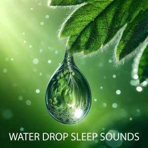 อัลบัม Water Drop Sleep Sounds ศิลปิน ASMR Baby Sleep Sounds