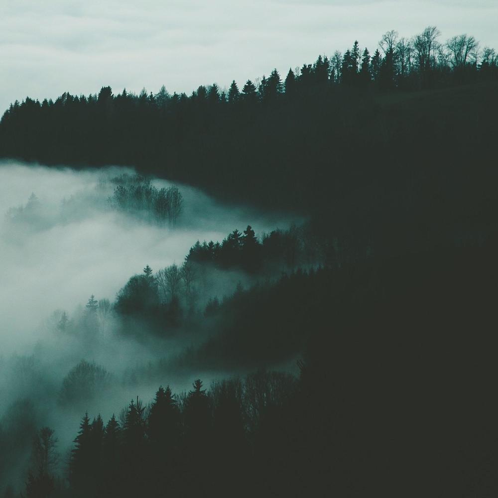 voices