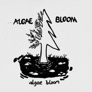 收聽Algae Bloom的Algae Bloom歌詞歌曲