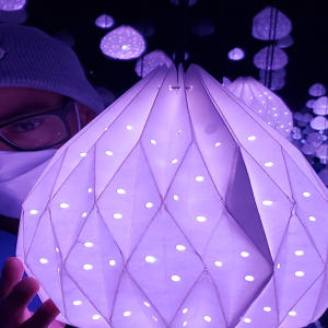 收聽BZ的Love Me, Love Me Not (feat. Blve) (Explicit)歌詞歌曲