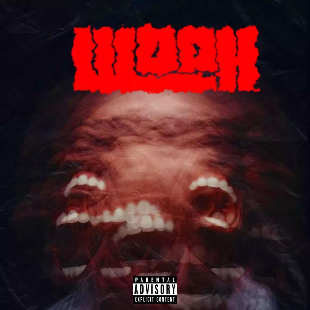 Woah Freestyle (Explicit)