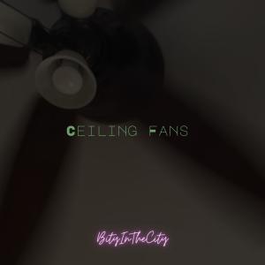 อัลบัม Ceiling Fans ศิลปิน BityInTheCity