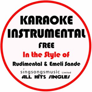 Free (In the Style of Rudimental & Emeli Sande) [Karaoke Instrumental Version]