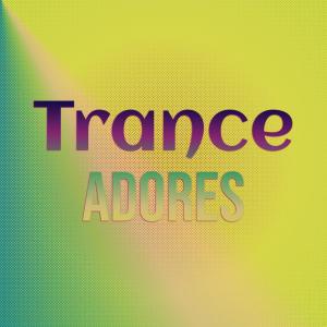 Album Trance Adores from Various