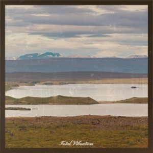 ดาวน์โหลดและฟังเพลง Total Vibration พร้อมเนื้อเพลงจาก Don Cherry