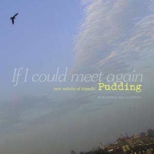 Listen to Dinner Party (Live Rehearsal|Remastered Deluxe Edition|Remastered 2021) song with lyrics from 푸딩 (Pudding)