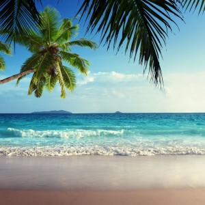 ดาวน์โหลดและฟังเพลง Summer-X พร้อมเนื้อเพลงจาก 徐梦圆
