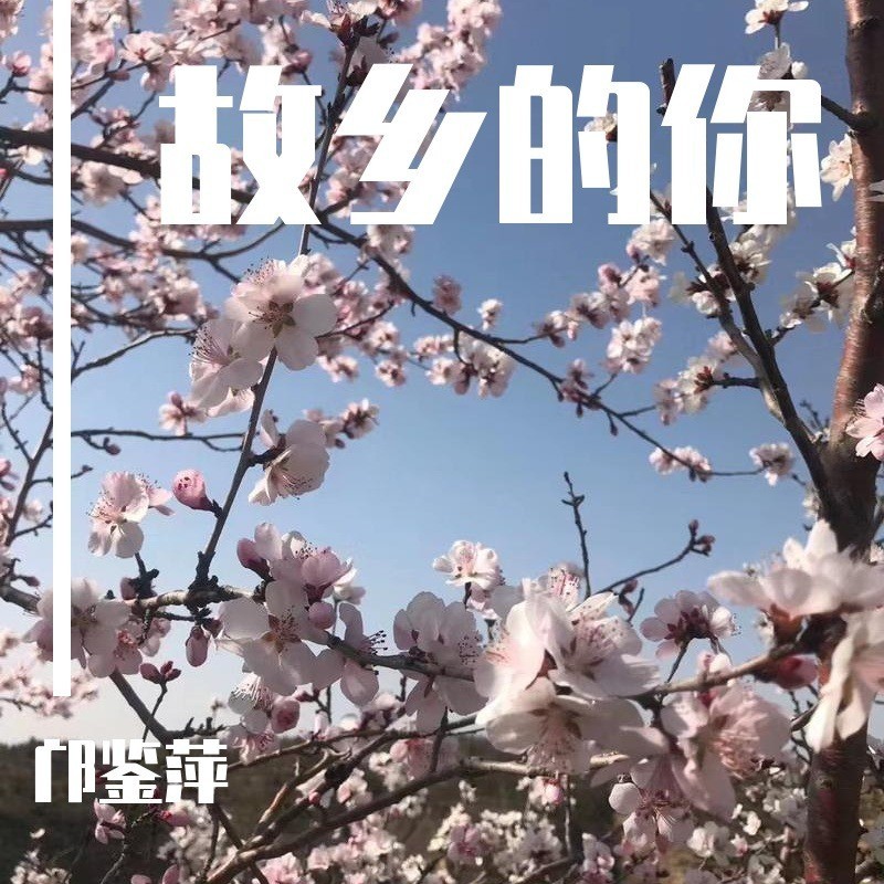 故乡的你 (完整版)