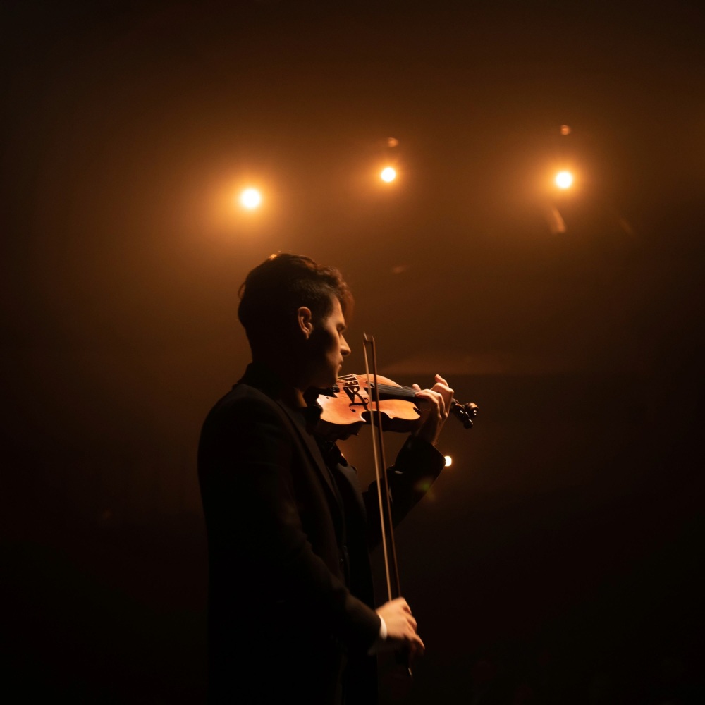 Orchestral Sounds to Soothe Pets