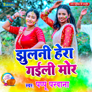 Listen to Jhulani Hera Gaili Mor song with lyrics from Pappu Parwana