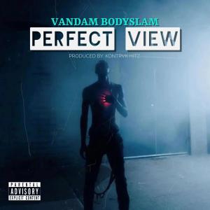 收聽KONTRVK HITZ的PERFECT VIEW (Explicit)歌詞歌曲