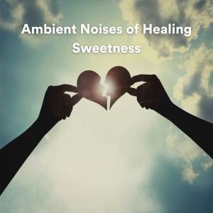 Musica Para Estudiar Academy的專輯Ambient Noises of Healing Sweetness