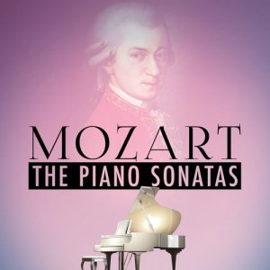 ดาวน์โหลดและฟังเพลง Piano Sonata No. 11 in A Major, K. 331: II. Menuetto พร้อมเนื้อเพลงจาก Walter Klien