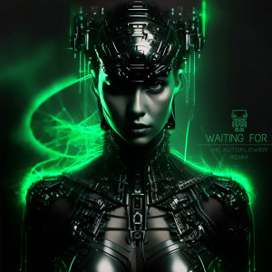 อัลบัม Waiting For (AUTOFLOWER Remix) ศิลปิน BRK (BR)