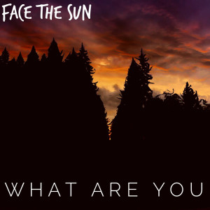Listen to What Are You song with lyrics from Face the Sun