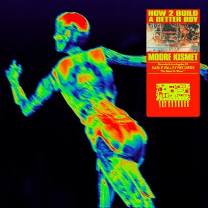 Album HOW 2 BUILD A BETTER BOY from Moore Kismet