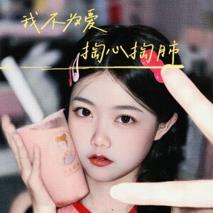 Album 我不为爱掏心掏肺（DJ版） from 黄文文