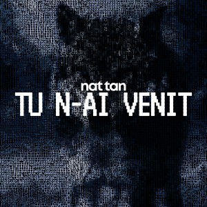 收聽NAT TAN的Tu n-ai venit歌詞歌曲