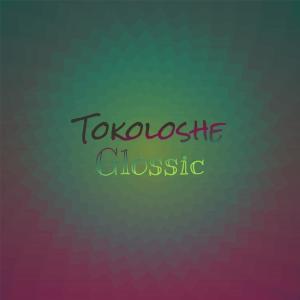 Various的专辑Tokoloshe Glossic