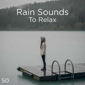 Meditation Rain Sounds的專輯50 Rain Sounds To Relax