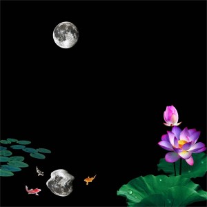 Listen to 念你明月夜 (完整版) song with lyrics from 潇敏