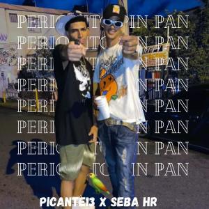 收聽BRYAN ON THE DRUMS的Periquito pin pan (feat. Picante13 & Seba hr)歌詞歌曲