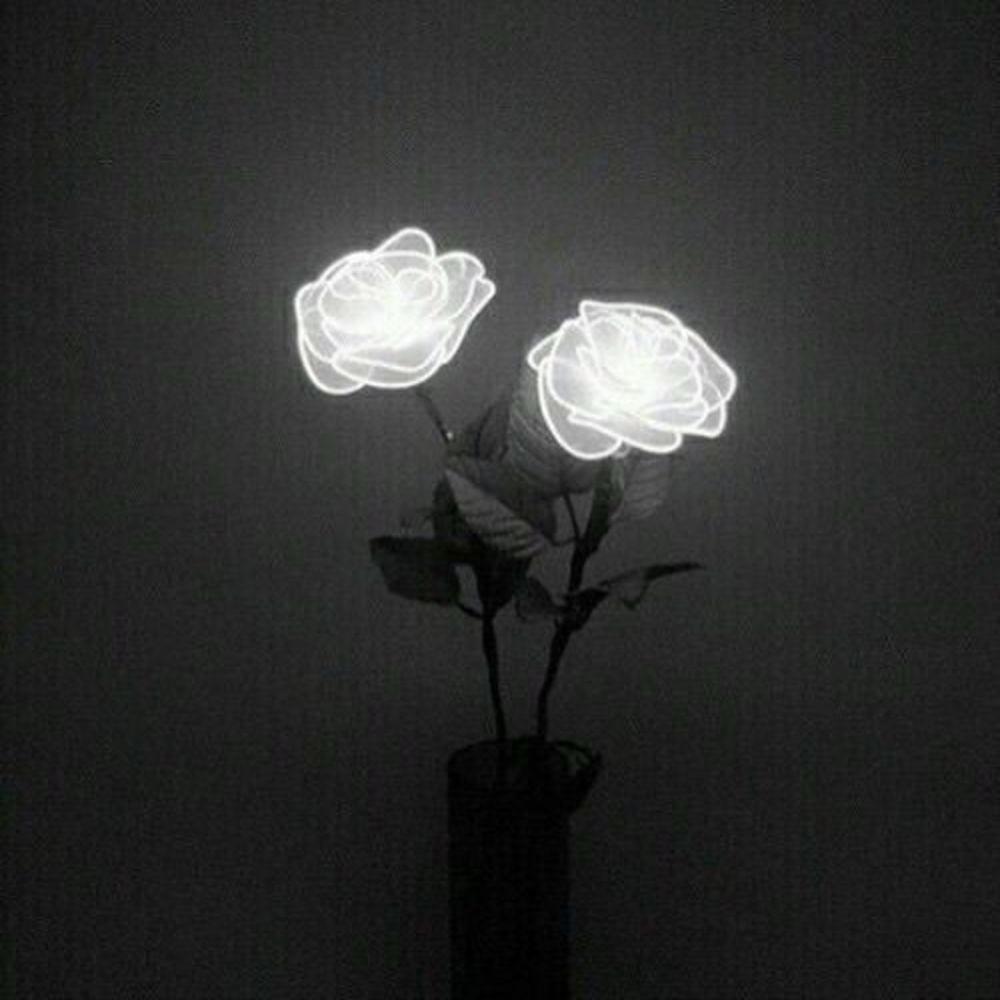 Popular Loner Freestyle (Explicit)