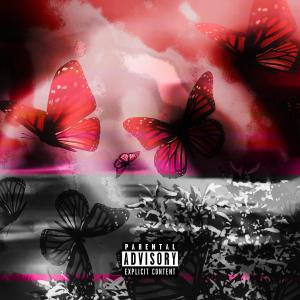 ดาวน์โหลดและฟังเพลง TOP SHELF / OFF BLACK (Explicit) พร้อมเนื้อเพลงจาก Shxsta