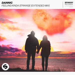 收聽Dannic的Feeling Kinda Strange (Extended Mix)歌詞歌曲