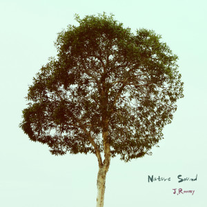 ดาวน์โหลดและฟังเพลง The Country พร้อมเนื้อเพลงจาก J.Roomy