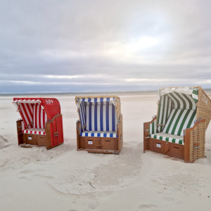 Listen to Café Brasil song with lyrics from Cobario