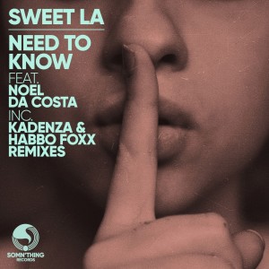 收聽Sweet LA的Need to Know (Radio Edit)歌詞歌曲