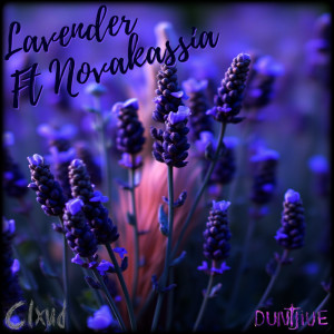 Clxud的專輯Lavender (Explicit)