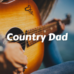 Various Artists的專輯Country Dad