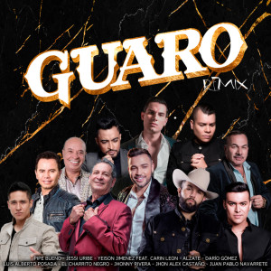 Listen to Guaro (Remix) song with lyrics from Pipe Bueno