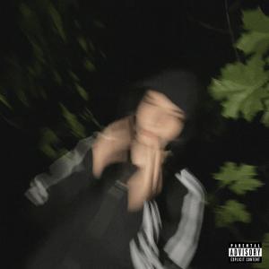 Listen to vinyl (Explicit) song with lyrics from forral drunk