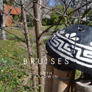 Listen to Bruises song with lyrics from Seth Baldwin