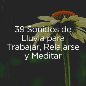Listen to Sonidos de Lluvia, Pt. 8 song with lyrics from Sonidos de lluvia de la ciudad
