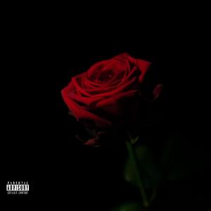 Trip3610的專輯LYK (feat. Boe Mumu) [Explicit]