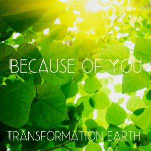 ดาวน์โหลดและฟังเพลง Because of You พร้อมเนื้อเพลงจาก Transformation Earth