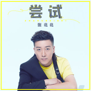 Dengarkan 尝试 lagu dari 张北北 dengan lirik