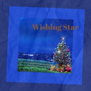 อัลบัม Wishing Star ศิลปิน Silvia Natiello-Spiller