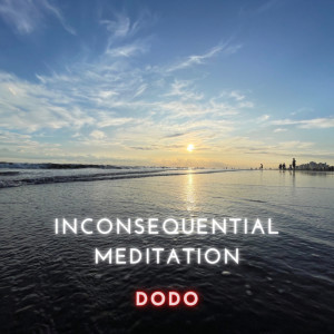 收听Dodo的INCONSEQUENTIAL MEDITATION歌词歌曲
