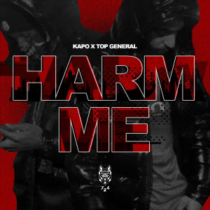 Listen to Harm Me (Explicit) song with lyrics from Kapo