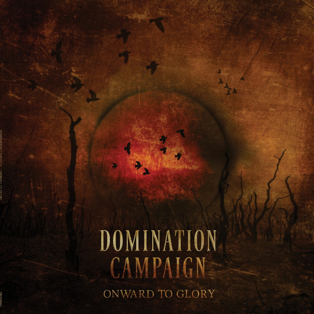 The Domination Campaign