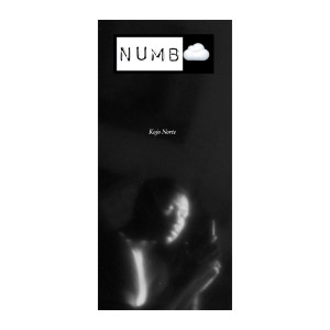 Listen to Numb song with lyrics from Kojo Norte