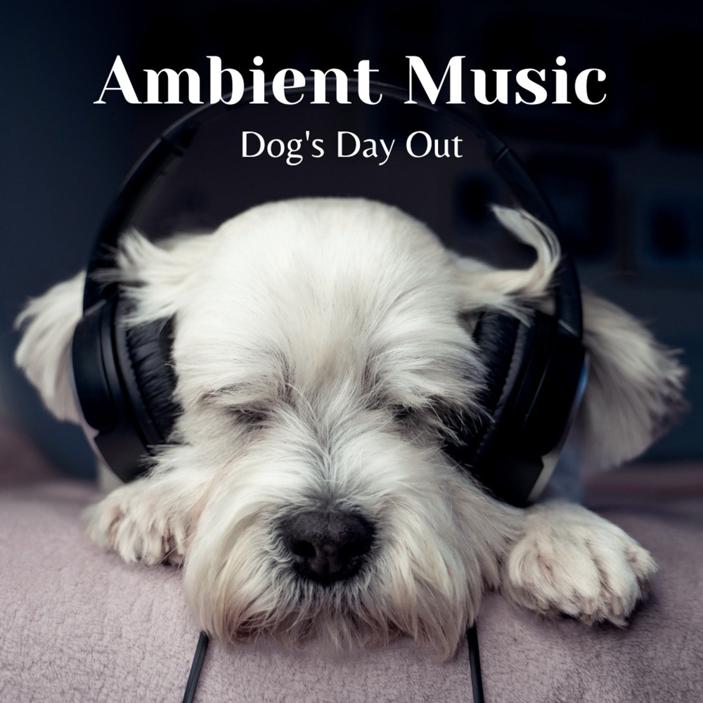 Doggy Daydream Ambient Music