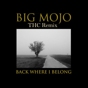 Album Back Where I Belong (THC Remix) from Big Mojo