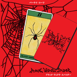 Parquet Courts的专辑Black Widow Spider