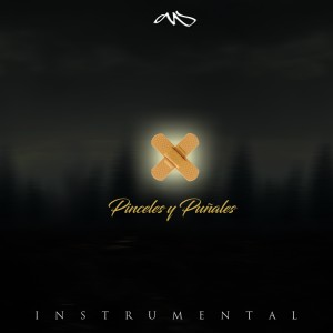 ดาวน์โหลดและฟังเพลง Amada Inmortal (Instrumental) พร้อมเนื้อเพลงจาก Cevlade